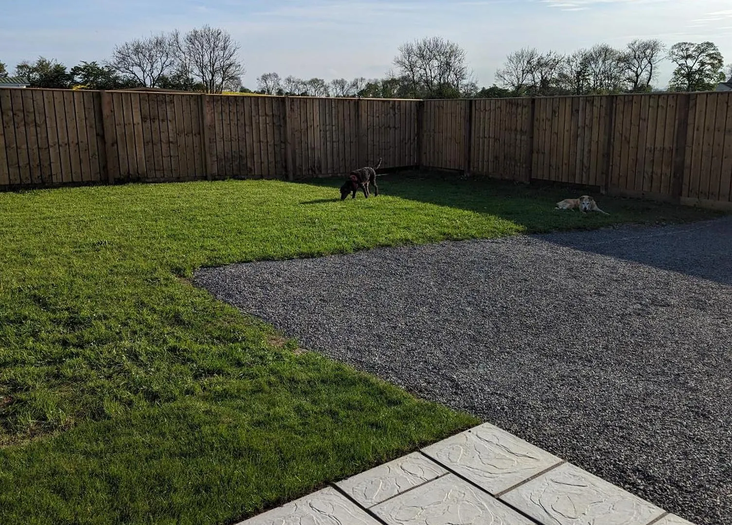 Campsite My Happy Hounds Glamping Hotel Northallerton