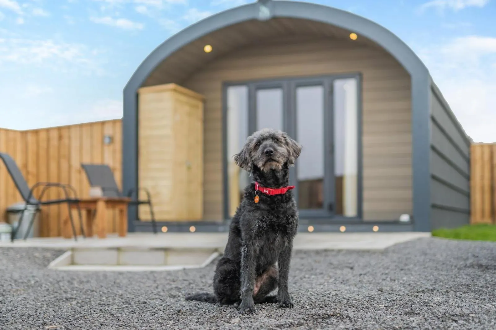 My Happy Hounds Glamping Hotel Northallerton Campsite