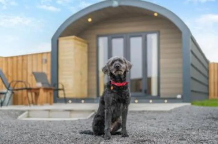 キャンプ場 ホテル My Happy Hounds Glamping ノーサラートン